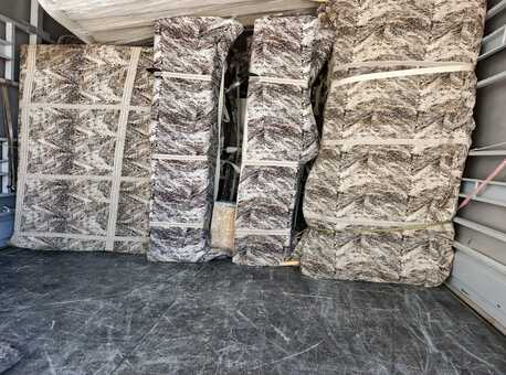 WhatsApp Image 2026-02-22 at 17.